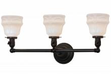 Meyda Blue 146102 - 26"W Revival Garland 3 LT Vanity Light