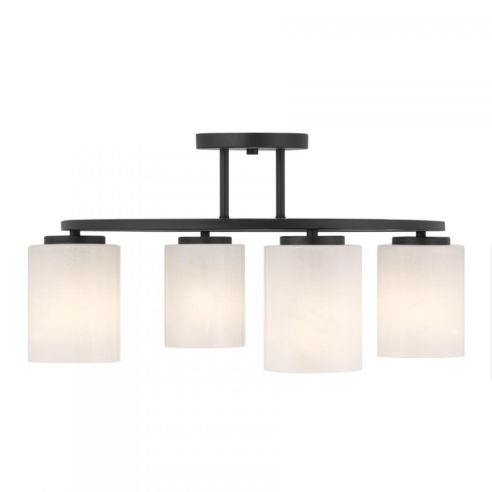 Herron 4-Light Ceiling Light in Matte Black