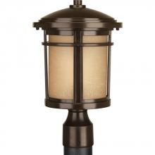 Progress P6424-20 - Wish Collection One-Light Post Lantern