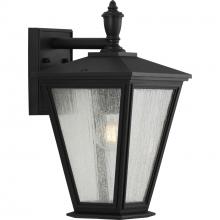 Progress P560167-031 - Cardiff Collection One-Light Medium Wall Lantern with DURASHIELD