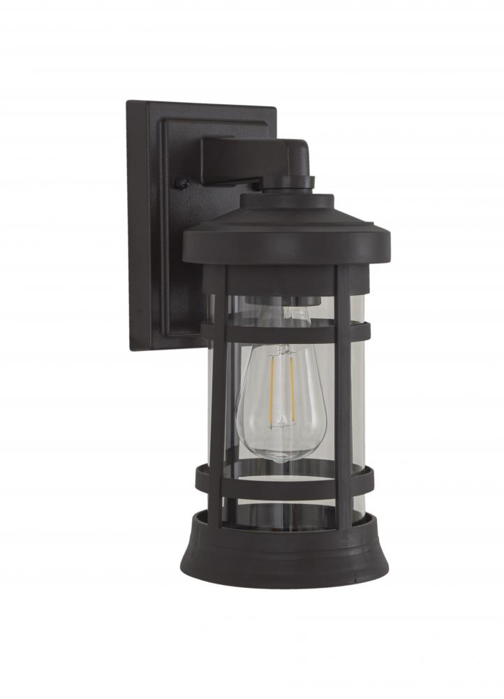 Resilience 1 Light Small Outdoor Wall Lantern in Bronze, Clear Lens