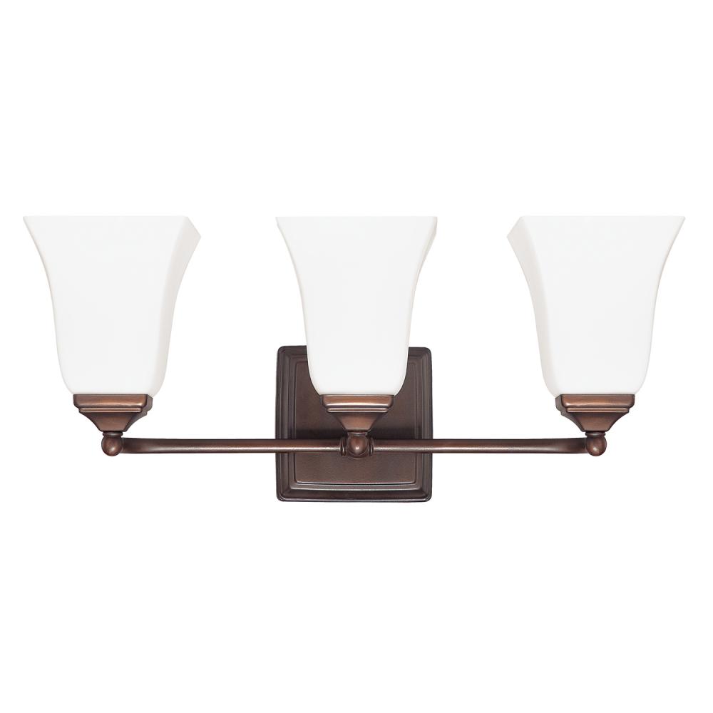 3 Light Vanity Fixture