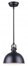 Canarm IPL222B01BK - Polo 1 Light Pendant, Black Finish