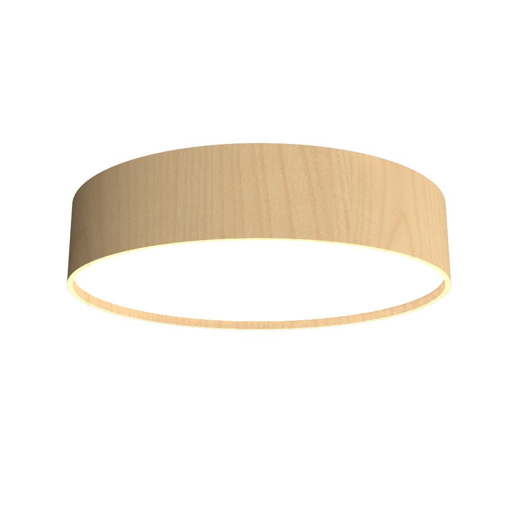 Cylindrical Accord Ceiling Mounted 546 LED